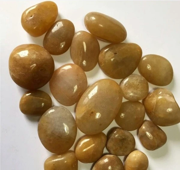 product-600-569 product-600-569